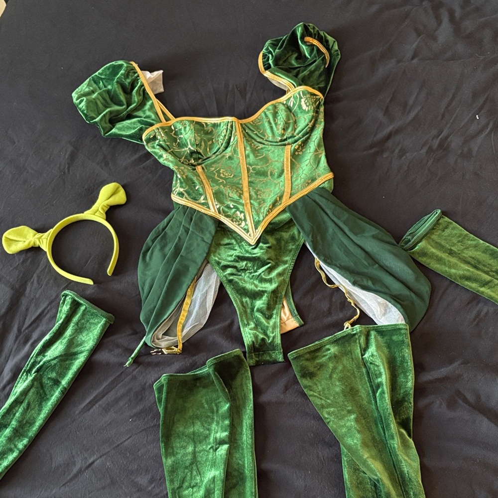 Fiona / Shrek / Lady of the Swamp adult costume size S/M